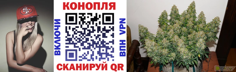 Каннабис Bruce Banner Канаш